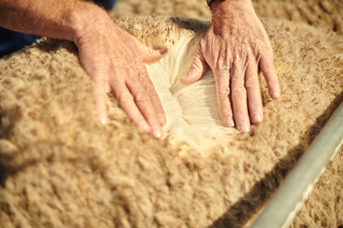 High animal welfare, Woolmark certified